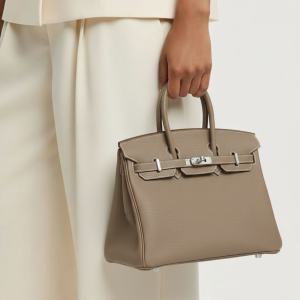 Hermès Birkin 25 Etoupe Togo Leather Handbag